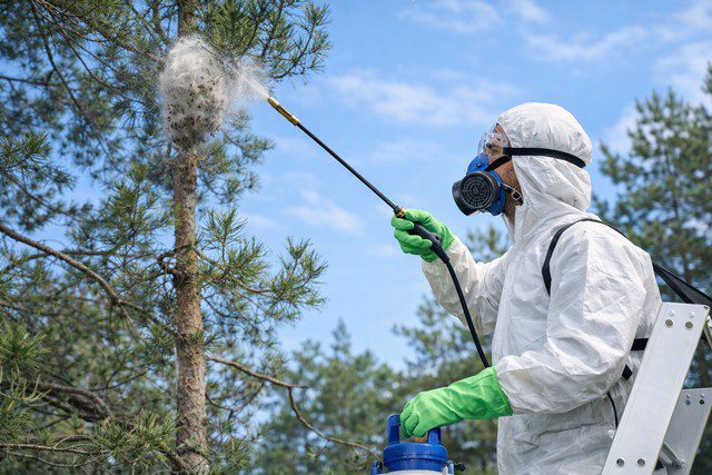 traitement professionnel chenille processionnaire partout en France