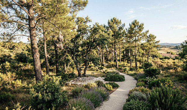présence de nids de chenilles processionnaires