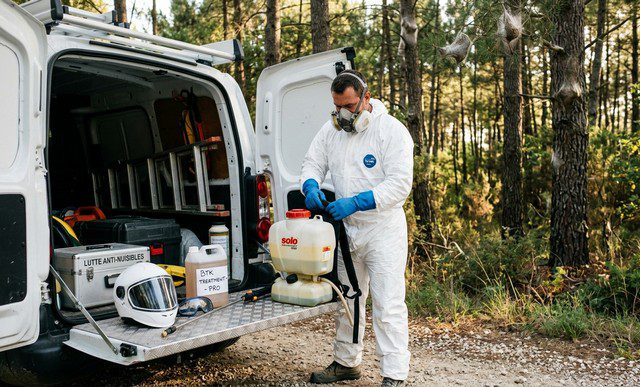 professionnel de désinsectisation chenilles processionnaires