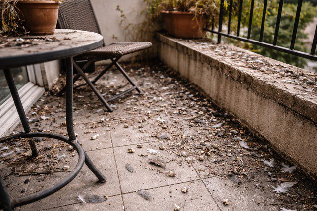 Balcon abandonné avec débris et plumes