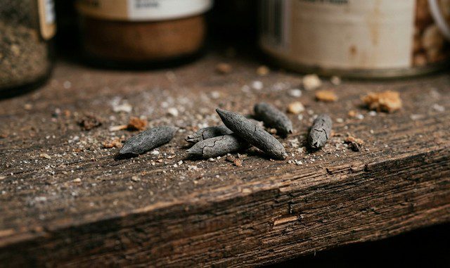 Crotte de souris sèche