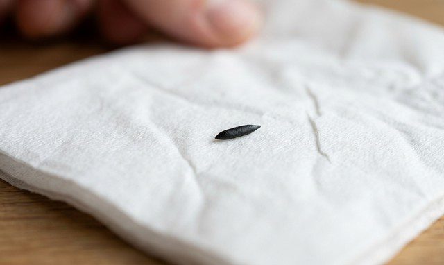 crotte de souris fraîche posée sur un mouchoir blanc